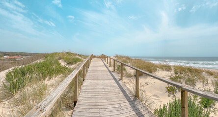 Fototapeta premium A wooden boardwalk path winds through sand dunes at Praia de Mira in Portugal leading towards the beautiful Atlantic Ocean under a bright sunny sky