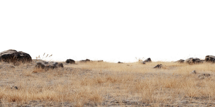 An isolated natural dry field of golden grass and scattered rocks providing an authentic arid landscape base, perfect for digital compositions and various design projects&nbsp;