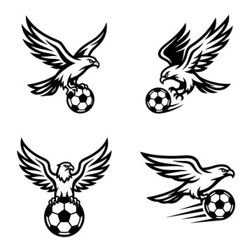 Eagles Playing Soccer Balls Flying.