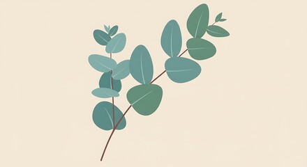 Obraz premium Eucalyptus leaves on cream background.