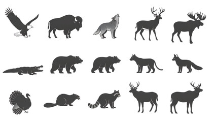 wild animals collection © Sakhawat Hossen 