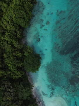 Top Down Aerial of Jungle Meeting Turquoise Shallow Reef