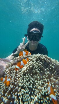 Close Up Clownfish in Anemone with Snorkeler Background