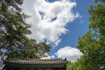 Fototapeta premium Traditional Korean temple roof with decorative dancheong patterns under a blue sky and green trees.