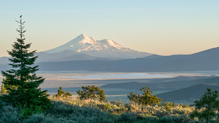 Fototapeta premium An evening view of Mount Shasta from the north, featuring a shallow lake and low mountains. On the left, a bird perches atop a conifer tree.
