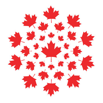 Maple leaves encircling a single maple leaf. The leaf is the symbol on the Canadian flag. Transparent background.