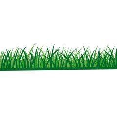 Fototapeta premium Green Grass Border Vector Illustration