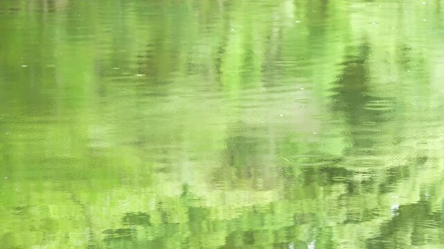 Raindrops falling on the river surface in spring day, countless green water ripples background. 4k slow motion footage, b roll shot, peaceful spring concept.