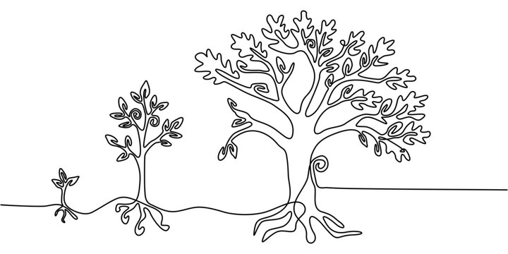 Continuous line art drawing of tree growth stages lifecycle vector
