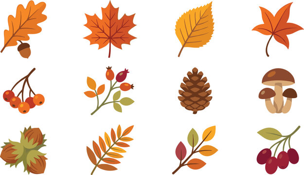 Autumn nature icon collection featuring colorful fall leaves acorns pinecones mushrooms berries and seasonal forest elements