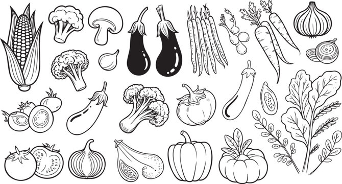 A comprehensive outline drawing collection of various fresh garden vegetables for healthy eating and cooking recipes