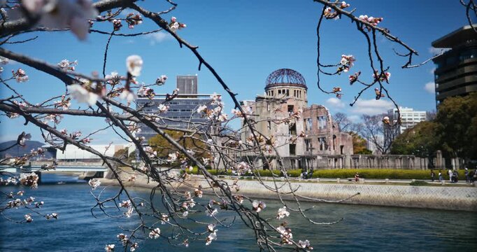 Rack Focus From Cherry Blossom Branches to old Hiroshima Atomic Bomb Dome Across Canal