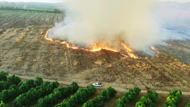 Wildfire burning through dry grassland with smoke rising high