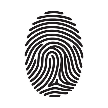 Fingerprint silhouette on a white background detailed dermal ridges