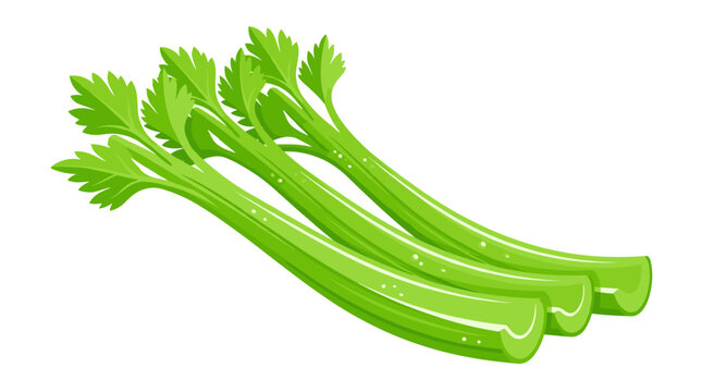 Fresh green celery stalks displaying a minimalist and stylized vector design perfect for health