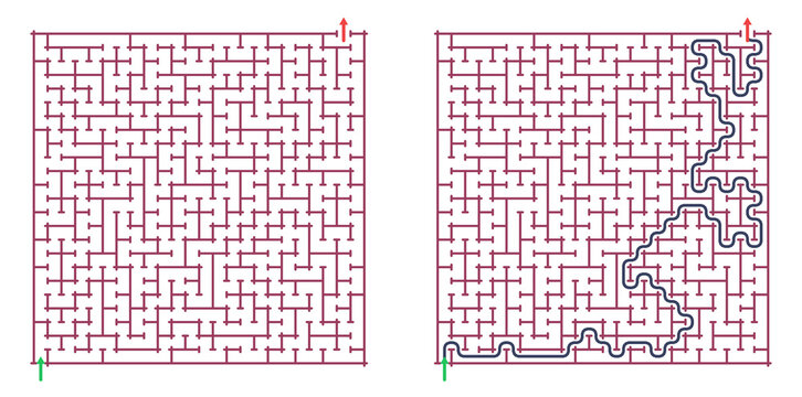 Maze puzzle with solution path and starting points marked  