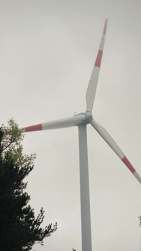 Large wind turbine blades turning to generate renewable energy, with dark green treetops visible on the side against a cloudy, gray sky, highlighting sustainable power production
