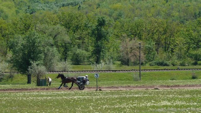 Professional jockey training a standardbred trotter horse for a harness race, running on a dirt track in a green field during a sunny spring day with a lush forest in the background
