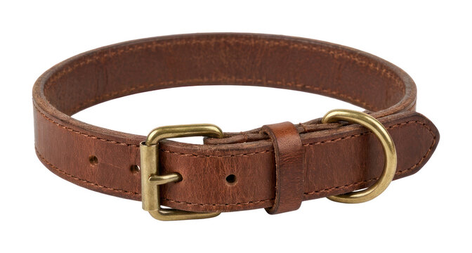 Brown Leather Dog Collar with Brass Buckle