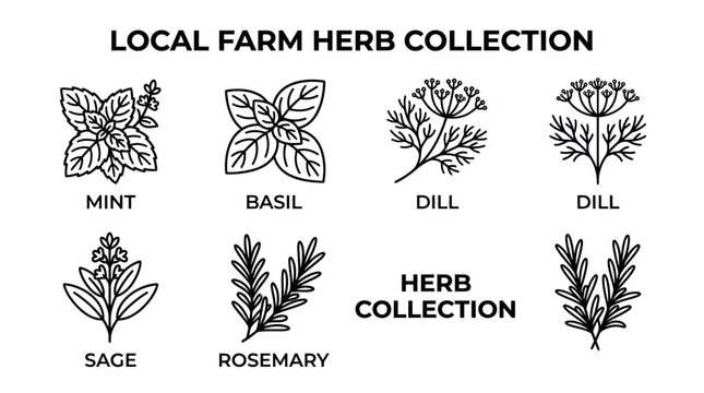 Local farm herb collection with mint basil dill sage and rosemary