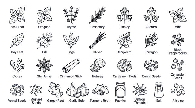 Collection of culinary herbs and spices icons with labels