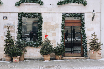Fototapeta premium Five green decorative Christmas trees stand in burlap pots on a gray cobbled sidewalk outside a shop in Lviv, Ukraine. Winter snow. New Year eve.
