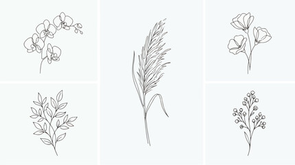 Minimalist botanical line art collection, set of 5 elegant floral vector illustrations, delicate hand drawn pampas grass and orchid flower sketches © Dream Time Studio