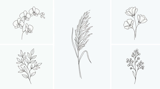 Minimalist botanical line art collection, set of 5 elegant floral vector illustrations, delicate hand drawn pampas grass and orchid flower sketches