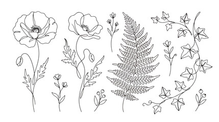 Minimalist botanical line art collection, hand drawn floral sketches with poppy flowers and fern leaf, elegant black and white wildflower vector set © Dream Time Studio