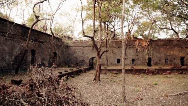 Slow panning shot revealing the interior courtyard of an ancient, abandoned fortress being reclaimed by nature, with large banyan tree roots growing over the crumbling stone walls