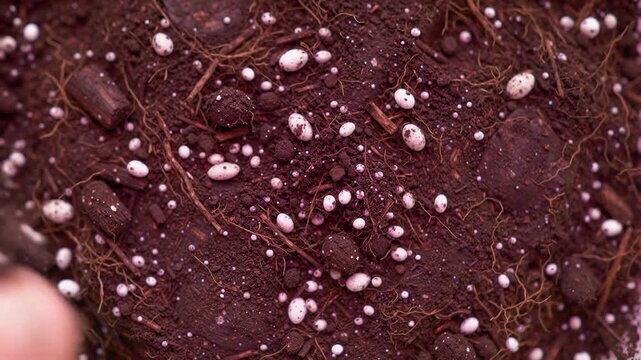 Close up of dark rich soil with visible roots and white nutrient pellets, gardening texture, healthy plant growth medium