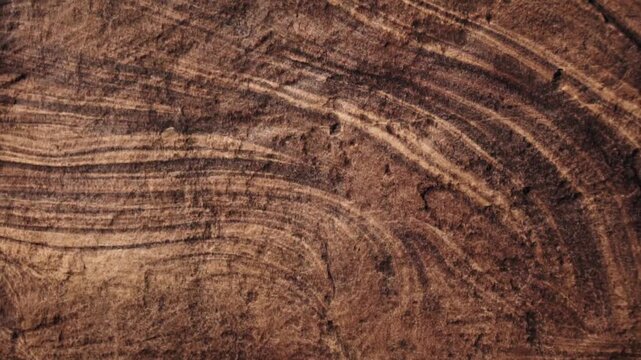 Dark brown wooden texture moving slowly, showcasing the intricate grain, rings, and natural patterns of the wood surface. A detailed close-up shot creating a rustic and organic background