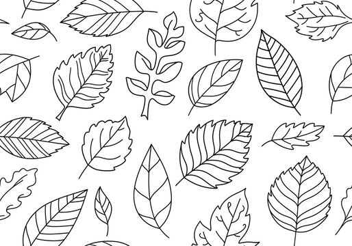 Forest Whispers: A delicate, hand-sketched pattern of varied leaves, rendered in crisp black and white line art.