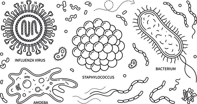 Bacteria and virus line icon set with influenza staphylococcus bacterium amoeba micro organisms scientific biology vector illustration graphic.