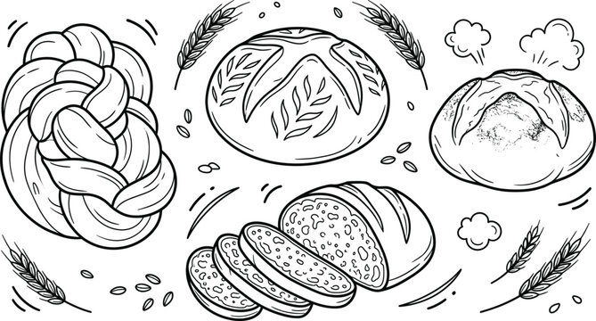 Bakery bread line art vector illustration set with sourdough challah sliced loaf wheat ears hand drawn design elements.