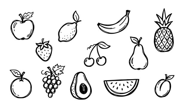 Cute doodle fruit outline vector icon set with hand drawn organic food sketches for restaurant menu