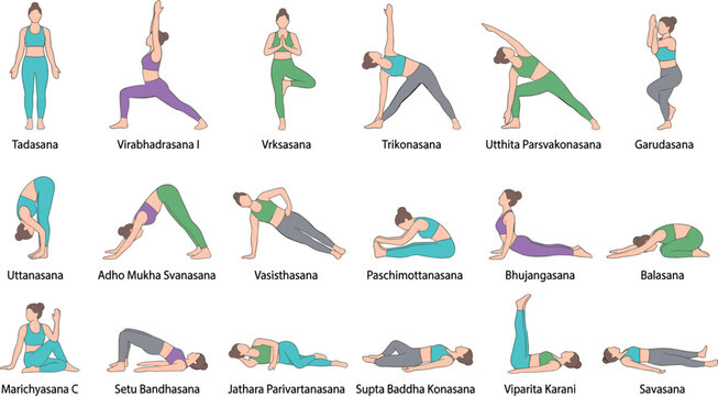 Yoga poses vector illustration set with sanskrit names including tadasana vriksasana trikonasana and savasana for fitness infographic health poster or wellness website design