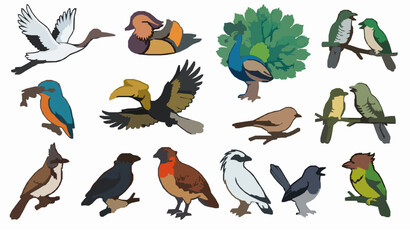 Colorful Exotic Bird Species Flat Vector Illustration Set Crane Peacock Hornbill Eagle Collection of Various Wildlife Design Elements © Begum