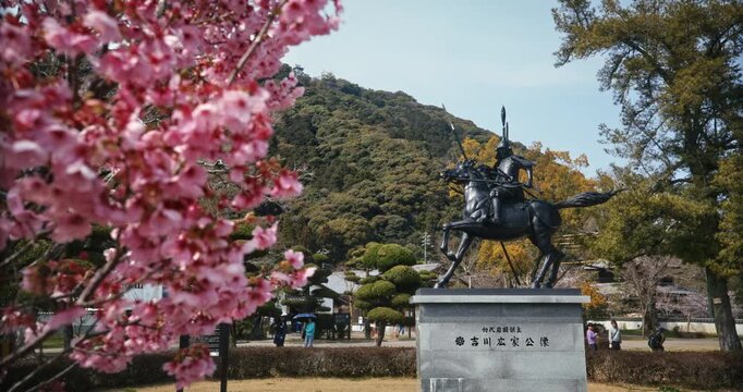 Cherry Blossom Framing Samurai on Horseback Bronze Statue Japan - Smooth Steady Cam Shot