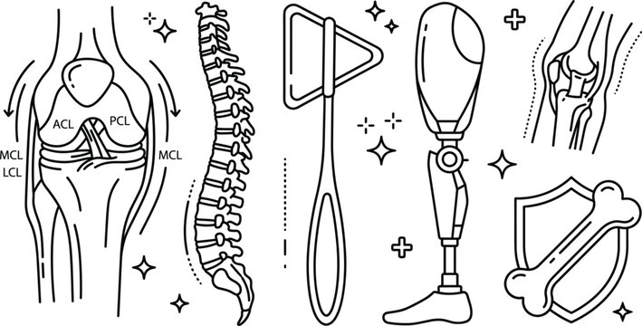 Orthopedic medical icon set featuring knee anatomy human spine reflex hammer prosthetic leg joint pain and bone shield.