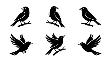Fototapeta premium Silhouettes of Birds Perched and Flying on Branches