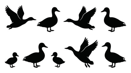 Obraz premium Duck Silhouettes Collection Flying and Waddling Animals