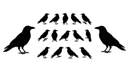 Obraz premium Set of Black Raven Bird Silhouettes in Various Posing Vector Illustrations