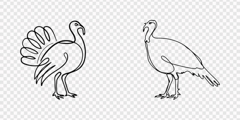 Male wild turkey set continuous one line drawing,  Two Male wild turkey line art. turkey bird single line drawing vector. Thanksgiving turkey one continuous line drawing .Fall harvest line art. Happy  © Gerish