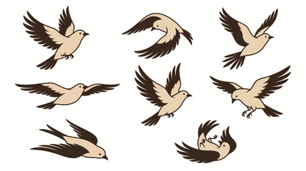 Set of Stylized Flying Birds Illustrations in Various Flight Poses © matahari