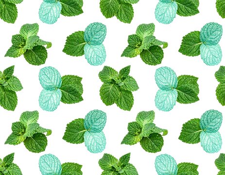 Mint Leaf and Candy.