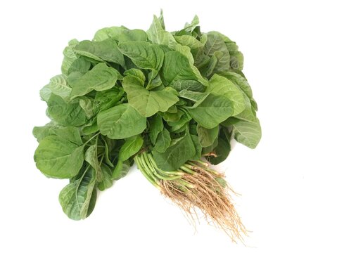 Fresh spinach with roots still attached, isolated on white background. Ideal for themes related to healthy eating, agricultural produce, organic cooking ingredients, and fresh Asian vegetables
