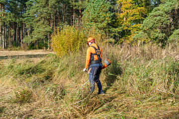 Fototapeta premium A brush cutter operator trims tall grass in a field, illustrating landscape maintenance, rural land management, and the routine upkeep needed to keep outdoor areas safe, neat.