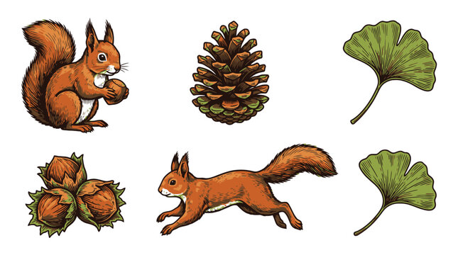 Autumn Woodland Squirrel Pinecone Ginkgo Leaf Vector Illustration.