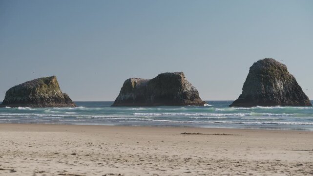 Cinematic 4K Slow Motion Gulls and Pelicans Soaring Above Rugged Sea Stacks
